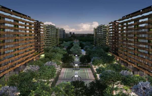 Imagem do Cidade Arte - Arte Wood