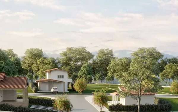 Imagem do Reserva dos Muriquis