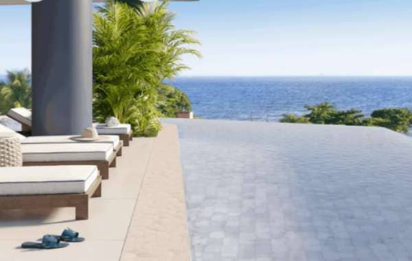 Imagem do Dolphin Bay