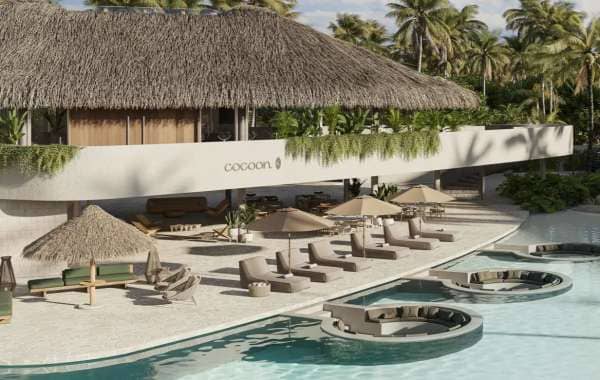 Imagem do Cocoon Milagres