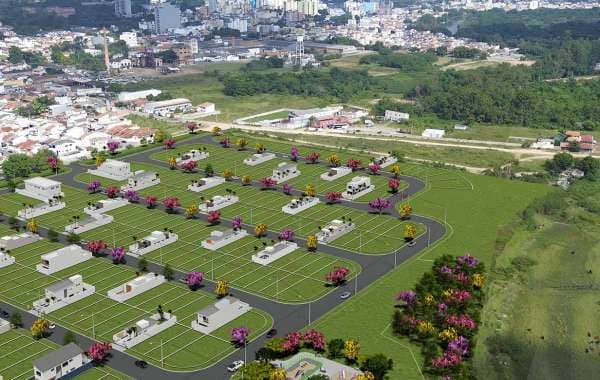 Imagem do Portal Rosa de Ouro Aparecida