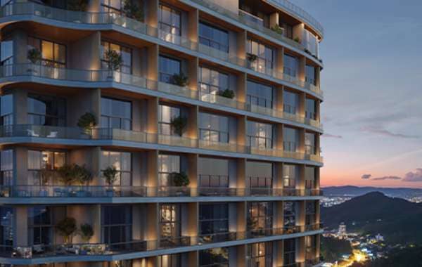 Imagem do Raro Brava