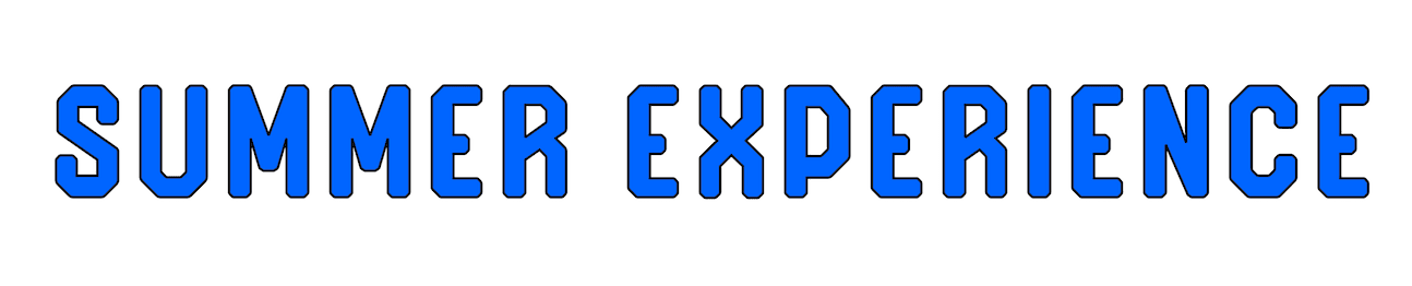 Logo do Summer Experience