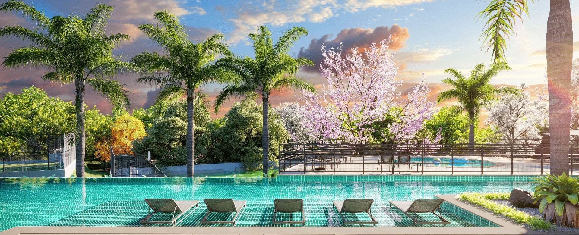 Imagem destaque do Vinhas Flamboyant