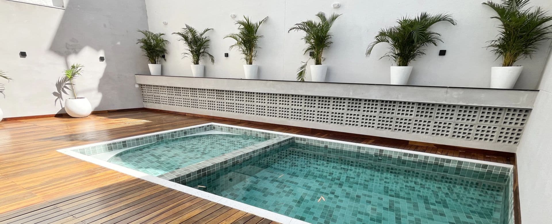 Imagem destaque do Bougainvillea