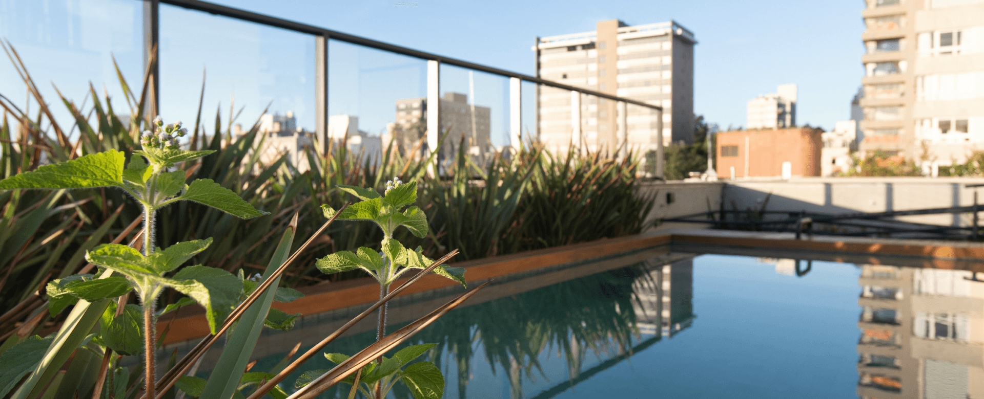 Imagem destaque do Haute