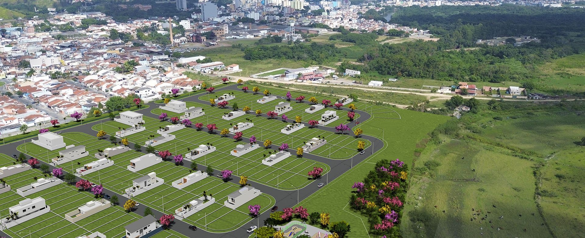 Imagem destaque do Portal Rosa de Ouro Aparecida