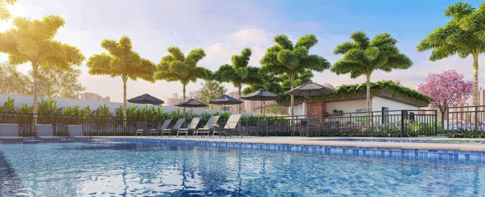 Imagem destaque do Vivaz Olaria