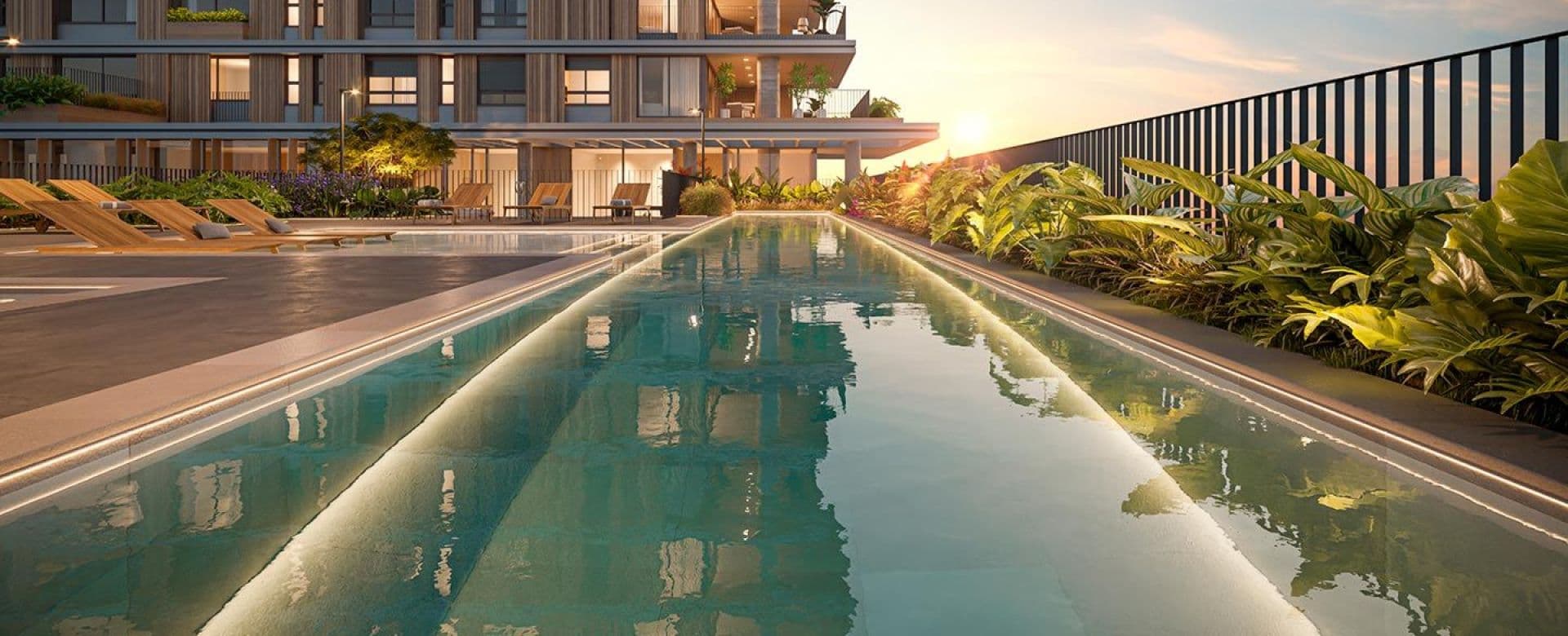 Imagem destaque do Albero