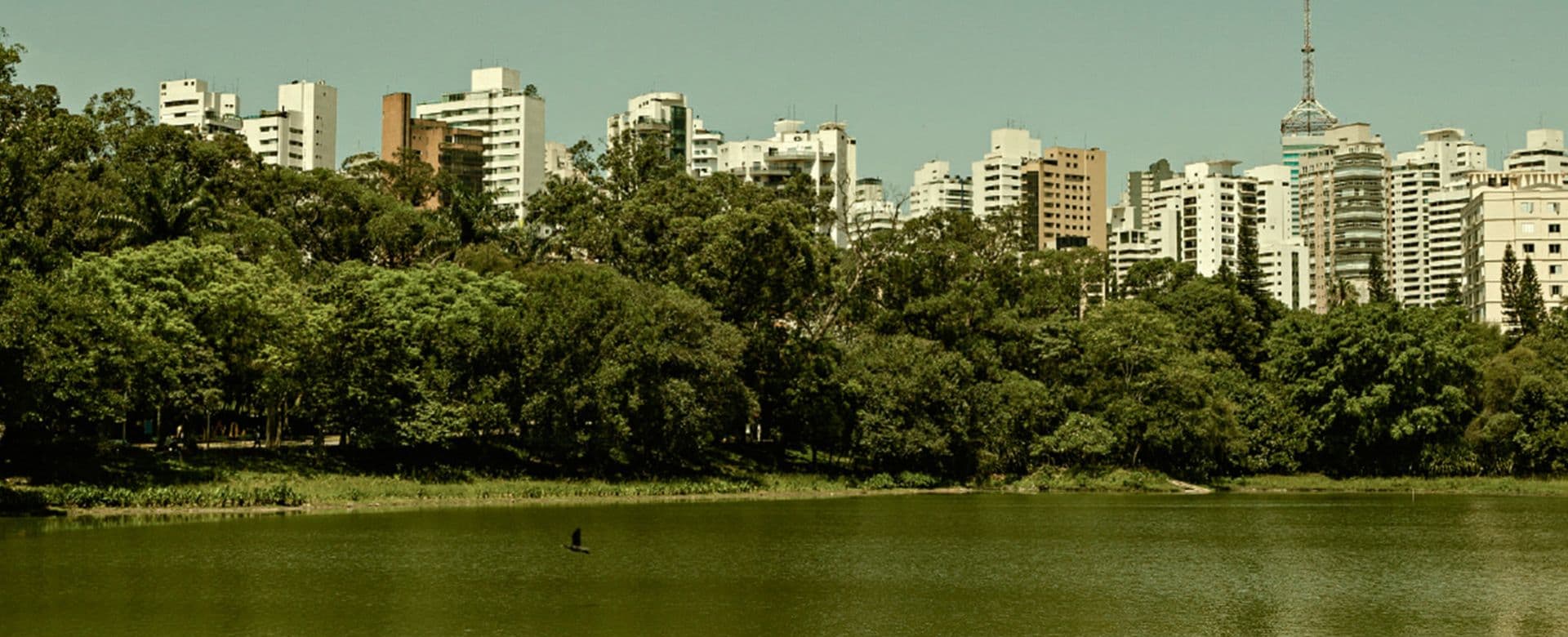 Imagem destaque do Latitude Aclimação