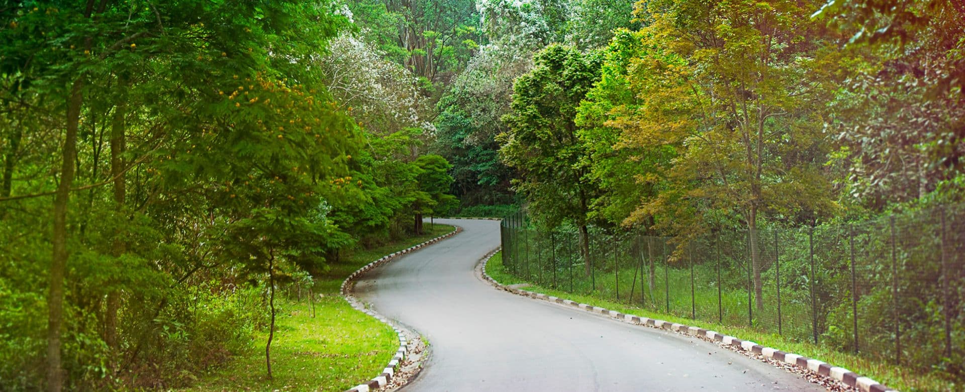 Imagem destaque do Arboreto Parque Itaguaçu