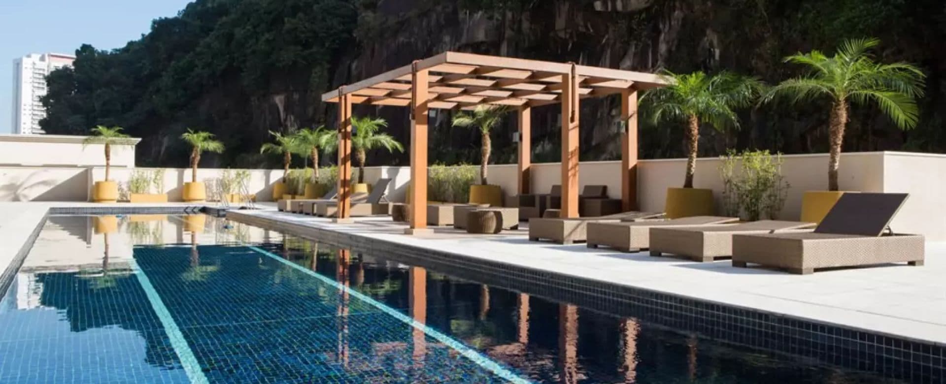 Imagem destaque do Way Orquidário