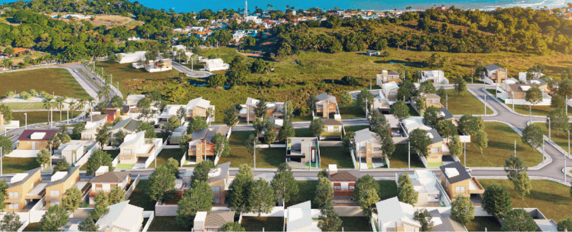 Imagem destaque do Palm Garden