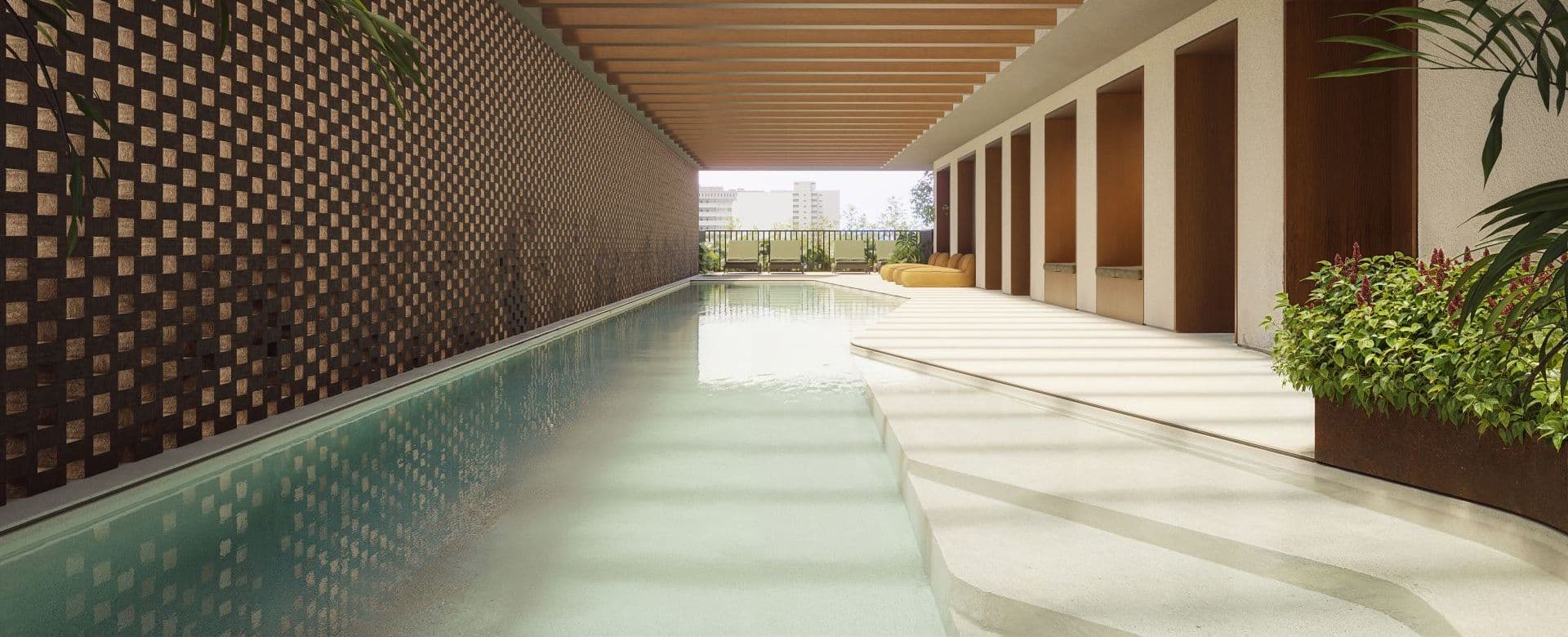 Imagem destaque do Primo Pinheiros