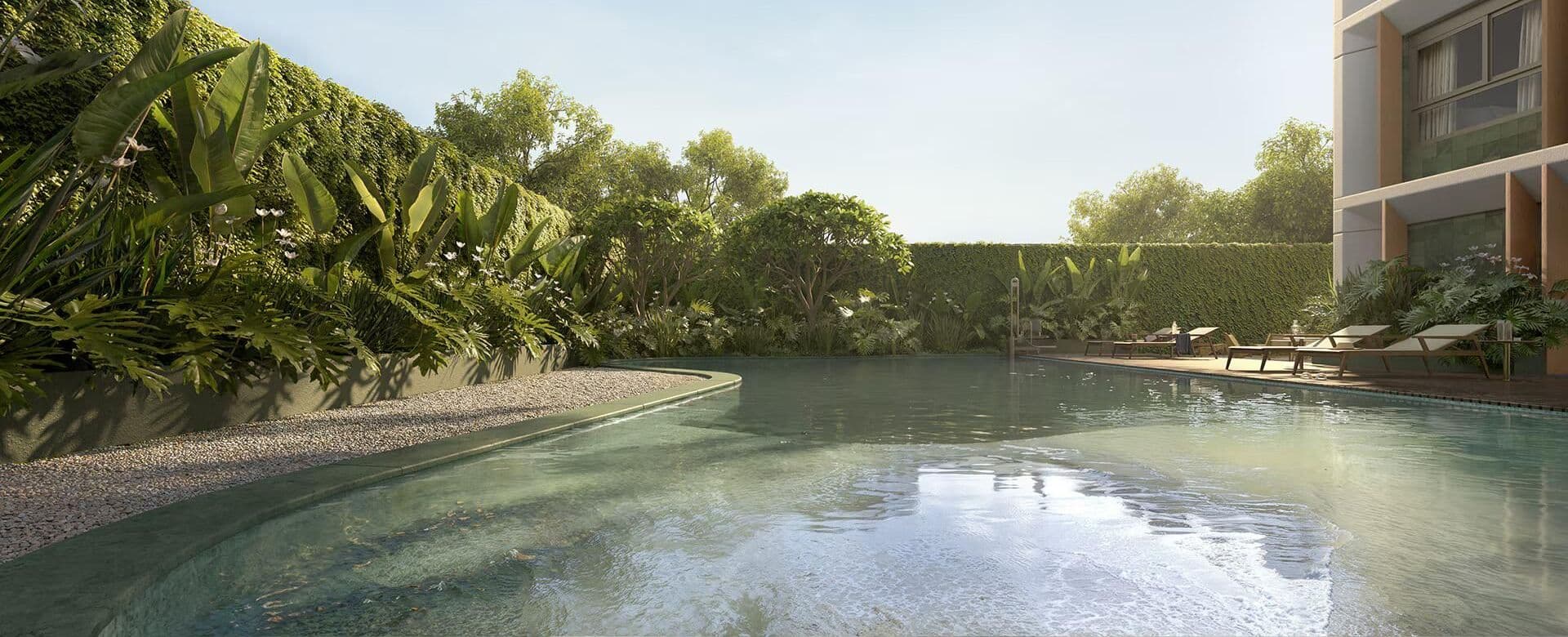 Imagem destaque do Gavia Moema