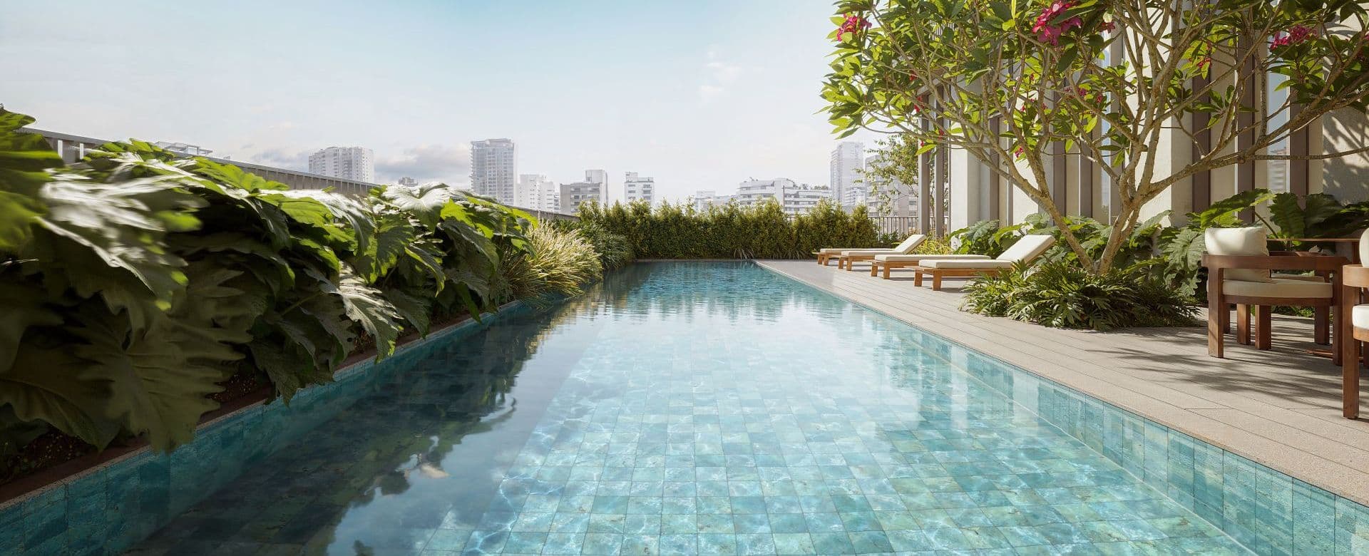 Imagem destaque do Porto Paraíso