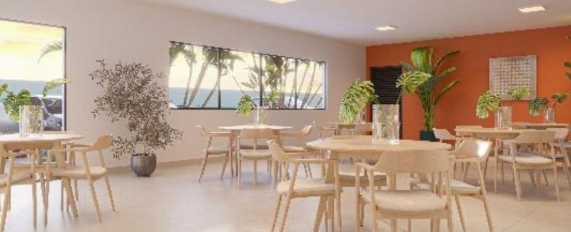 Imagem destaque do Vivaz Selection Adolfo Pinheiro