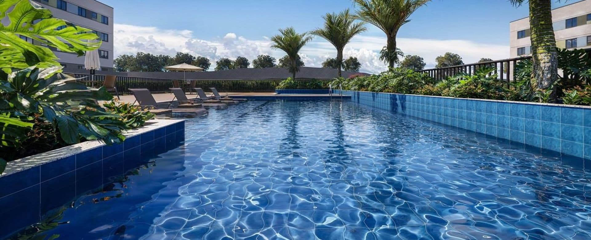 Imagem destaque do Mata das Borboletas