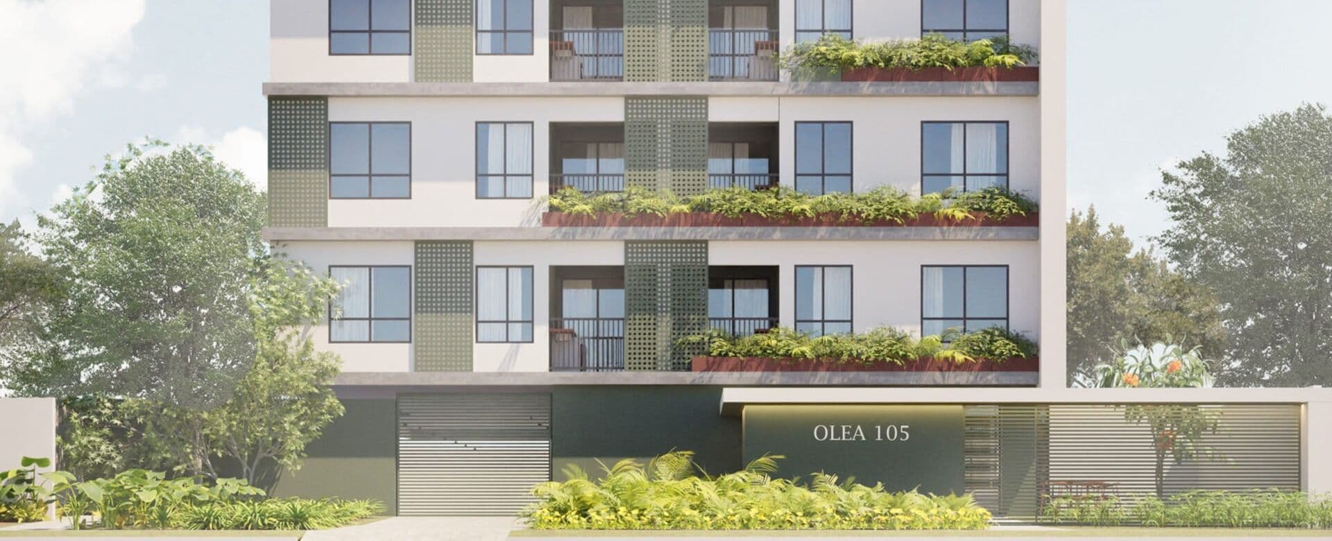 Imagem destaque do Olea